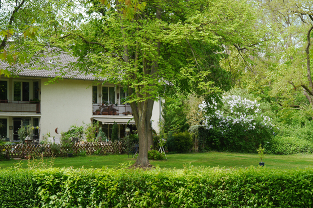 Bild der Siedlung tannenbusch